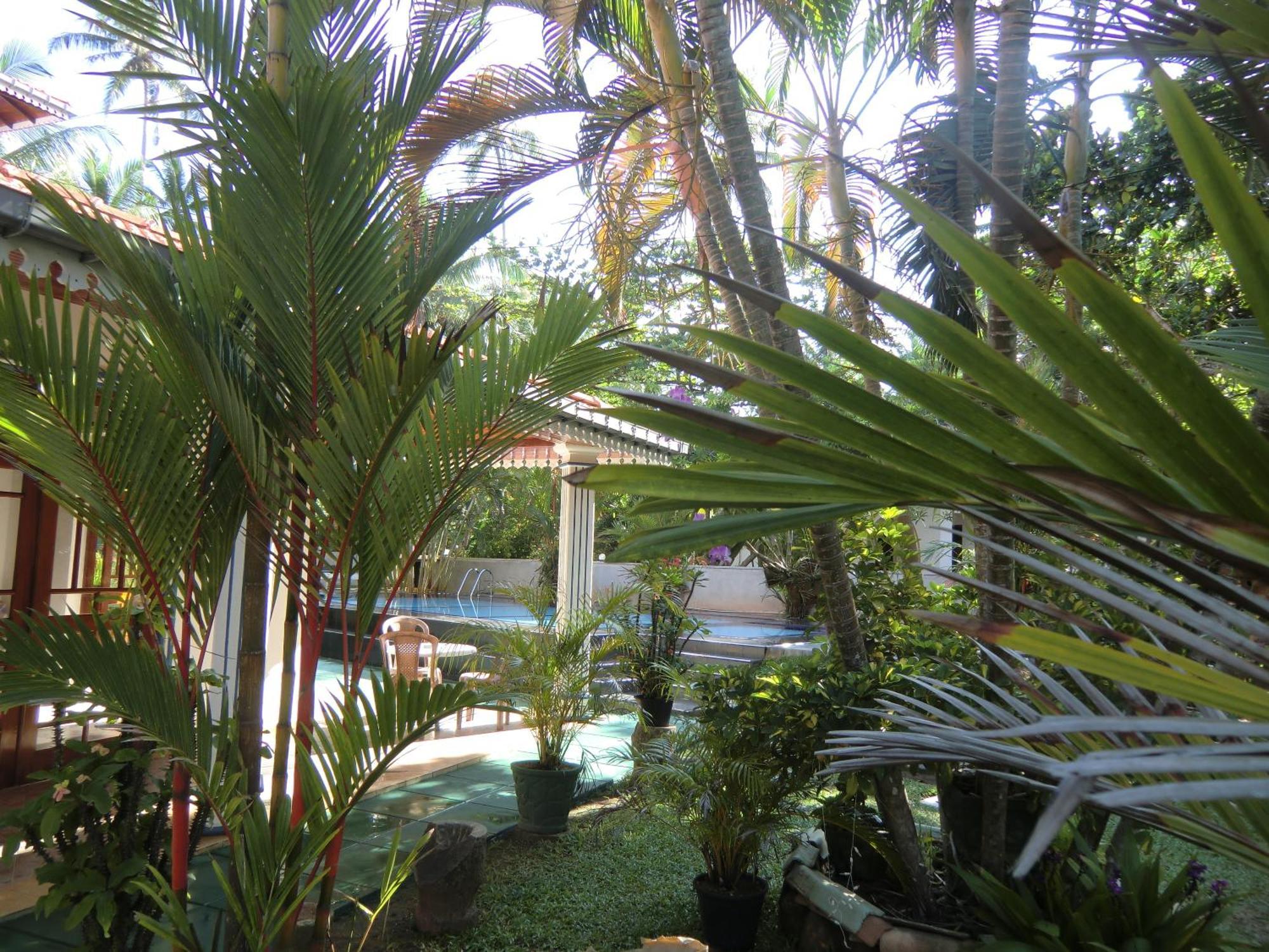 The Oasis Villa Hikkaduwa Εξωτερικό φωτογραφία