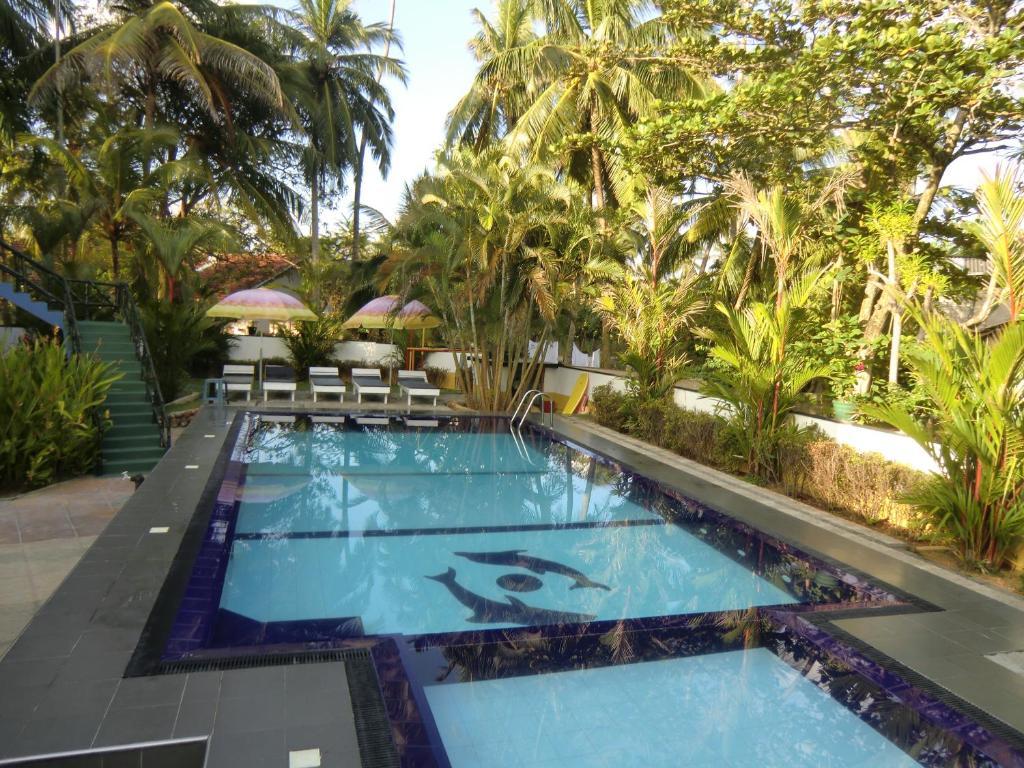 The Oasis Villa Hikkaduwa Εξωτερικό φωτογραφία